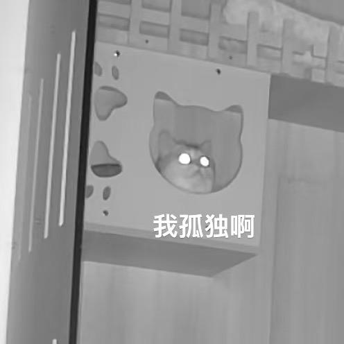 汤圆历险记