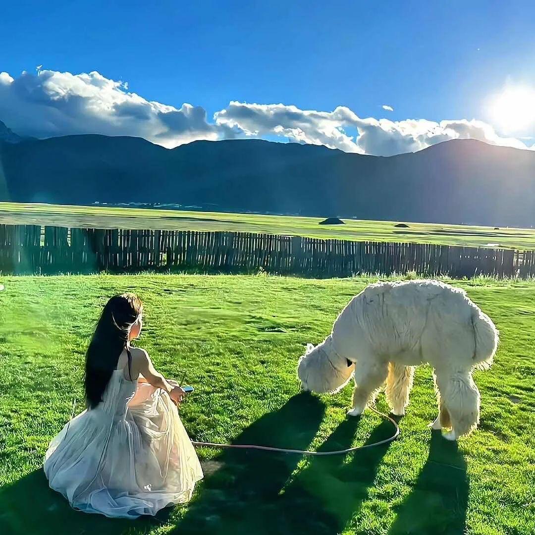 迈姥姥的美好生活