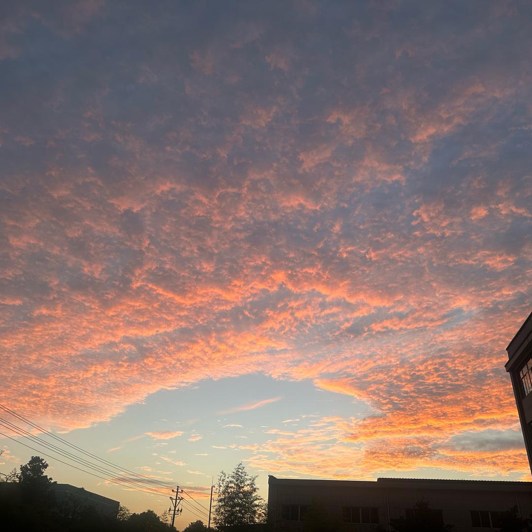 张开咔（包得吃）