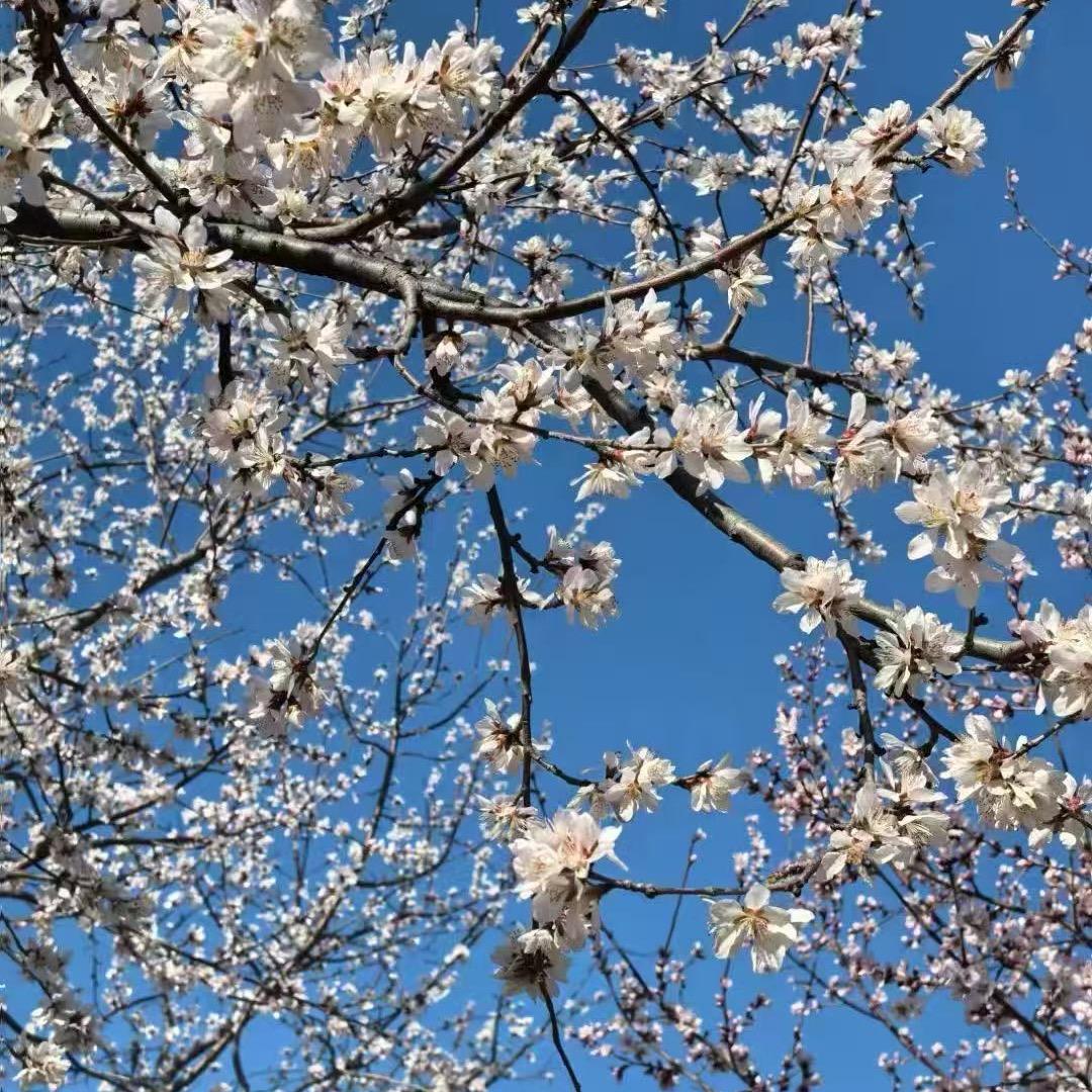 暖冬