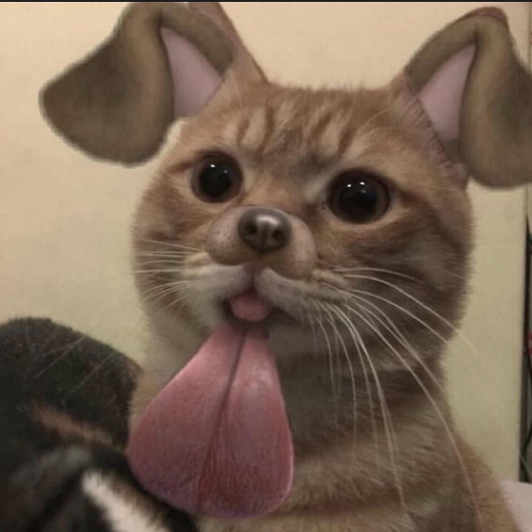 jst_hnnah