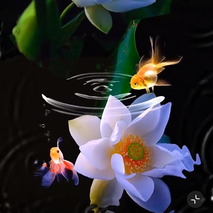 轻舟·手工折纸