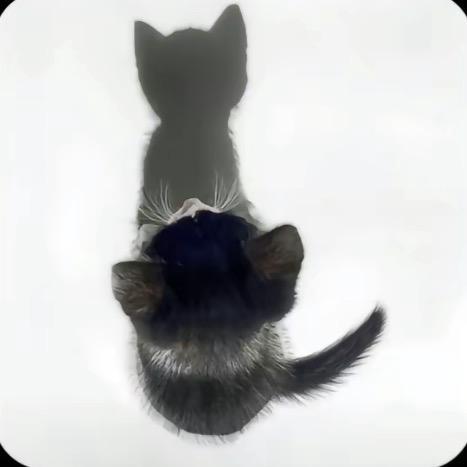 你宝宝