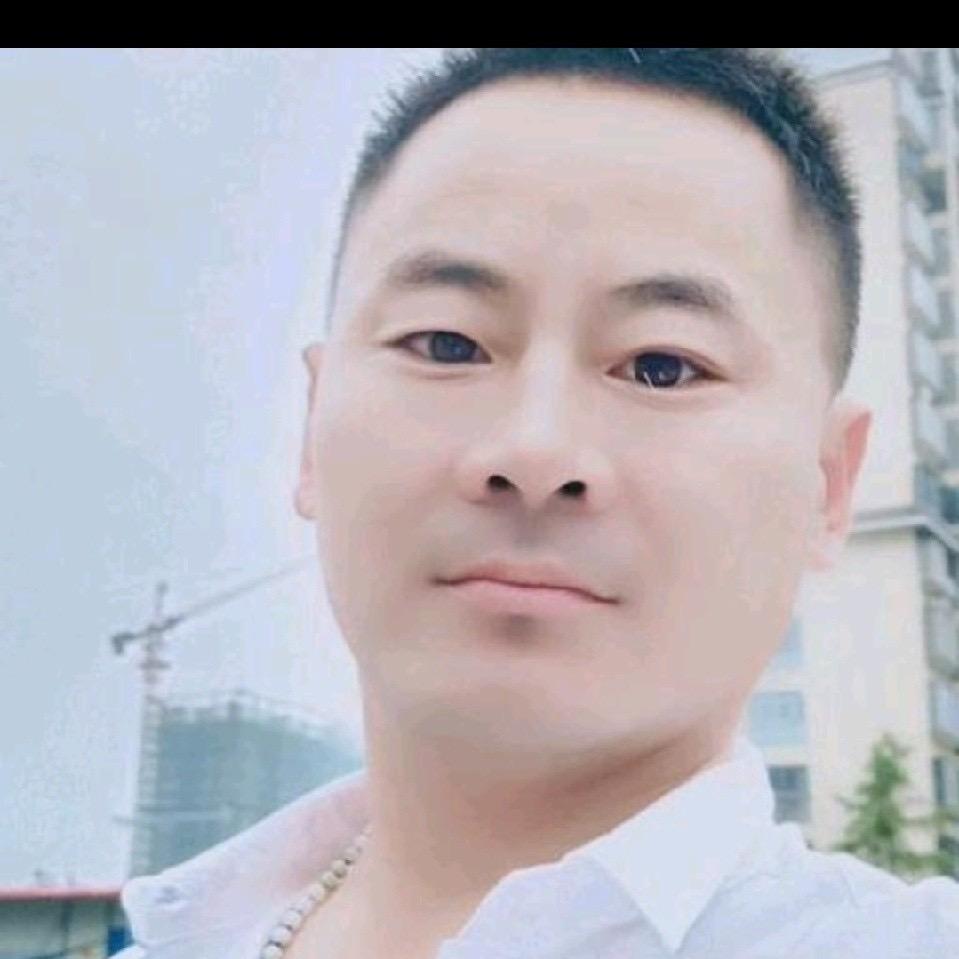 风在我心里