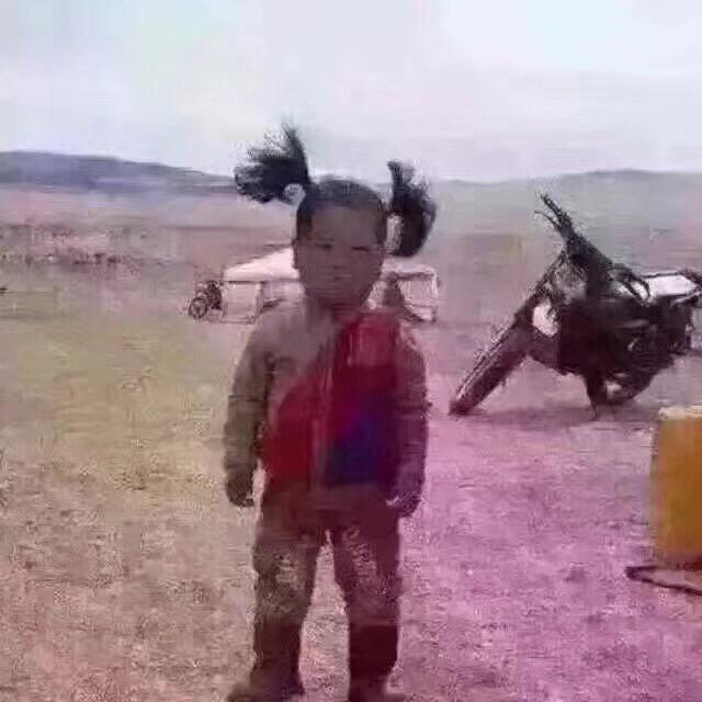 洋洋洋