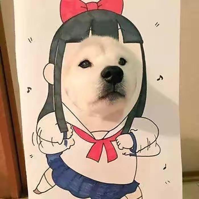 甜奶咖🌿