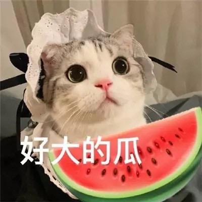 ʚ🐷ིྀིɞ