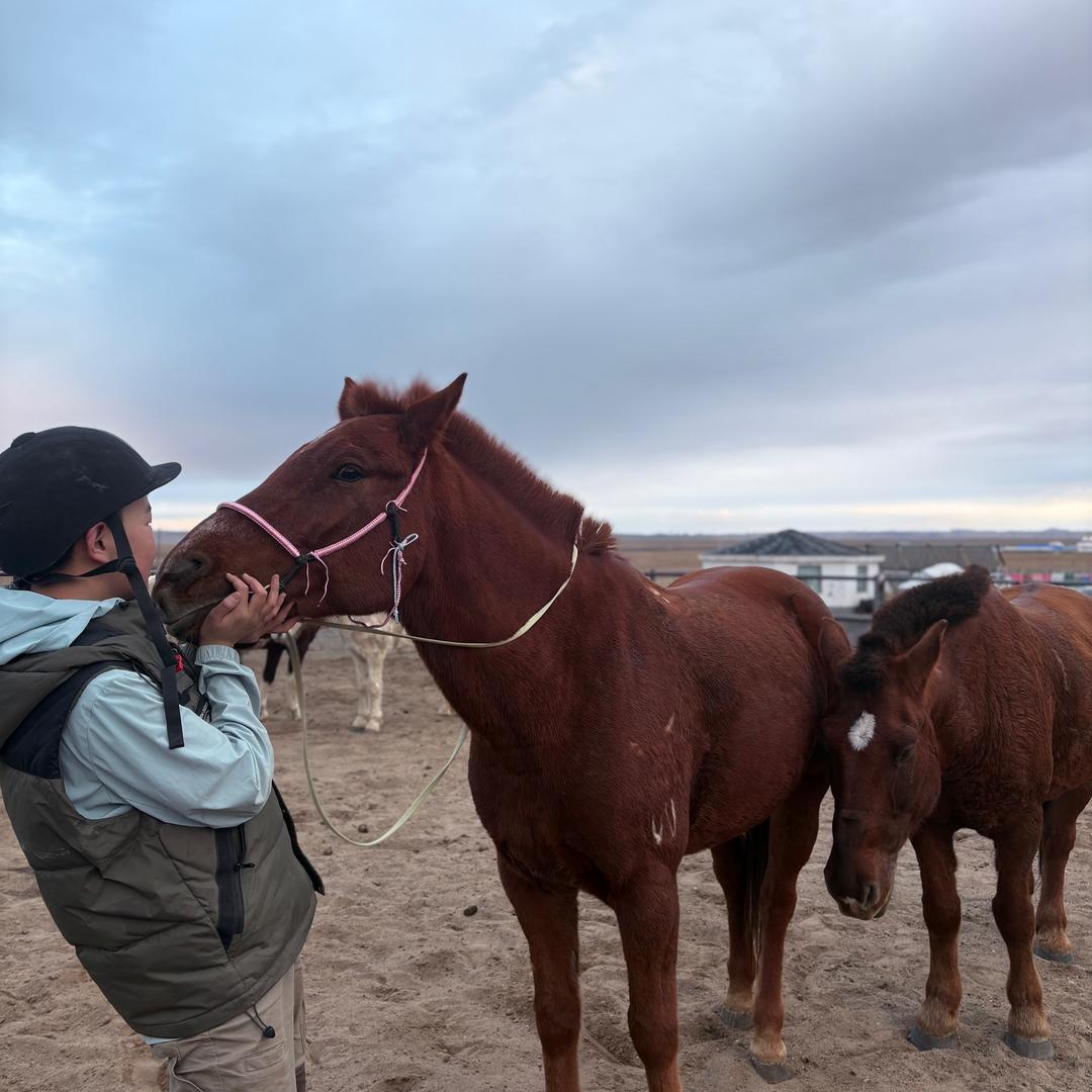 Хуслэнг🐎