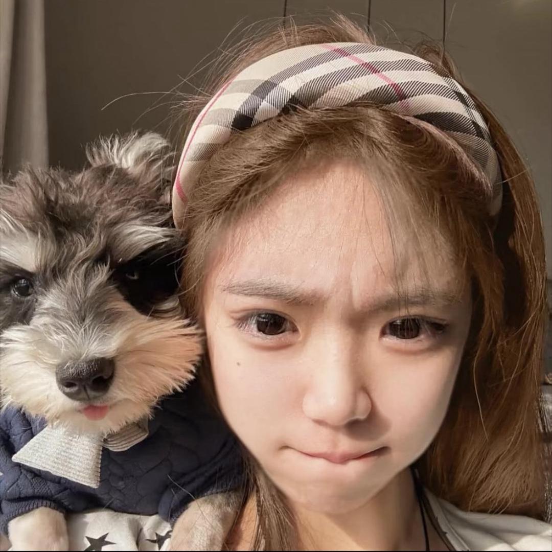 喵 十 七🐾