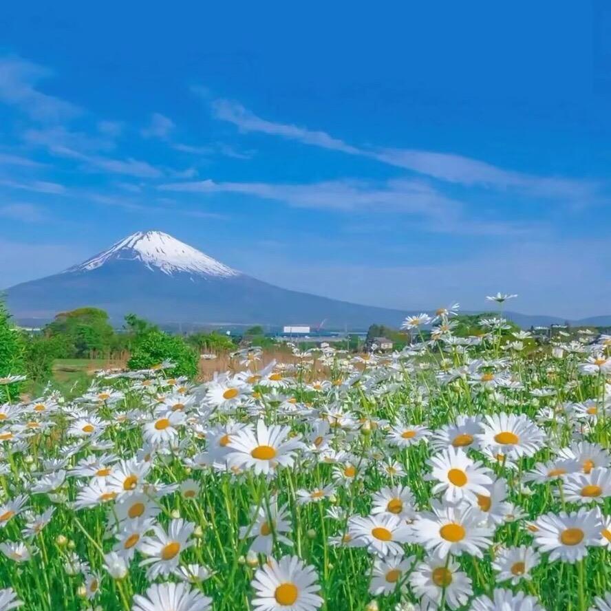 静馨
