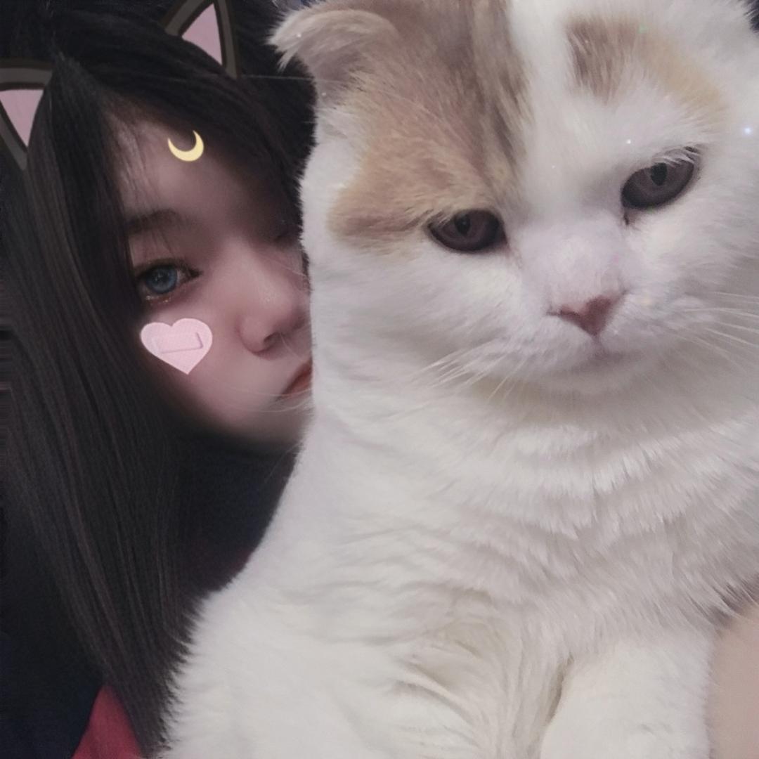 盖世小阿静.