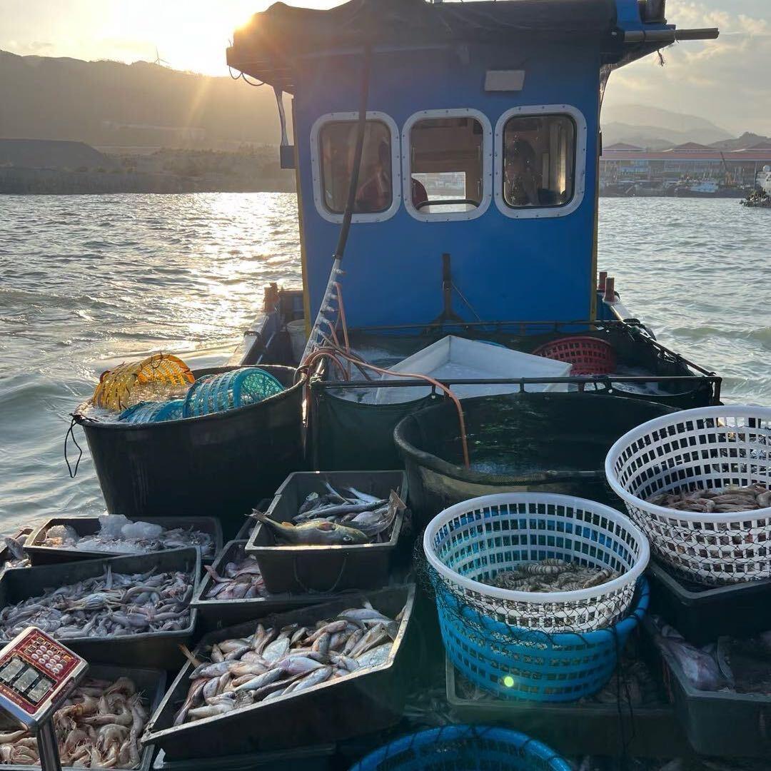 苏记海鲜水产生蚝供应链（海鲜源产地发货）