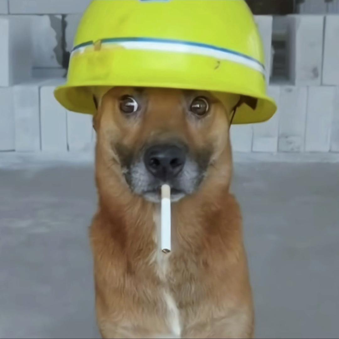 风一样的男人