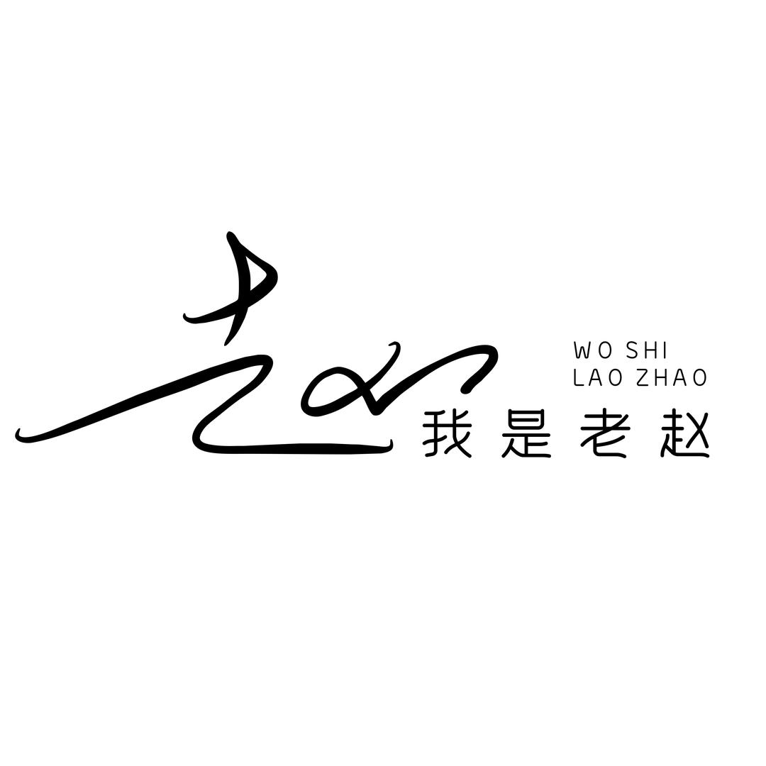 老赵AO2
