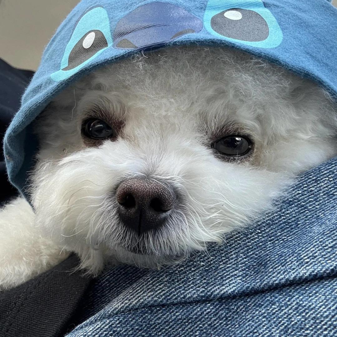 ㅎ.ㅎ