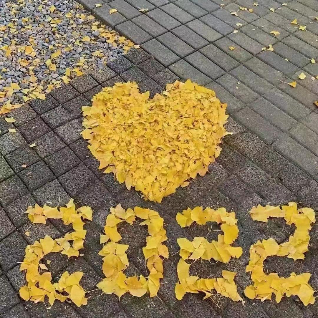 段段