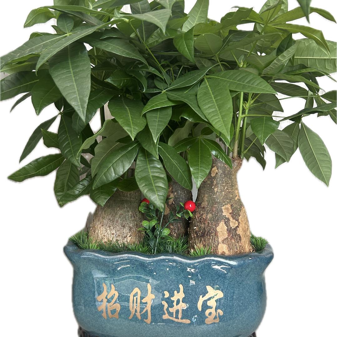 @春天@