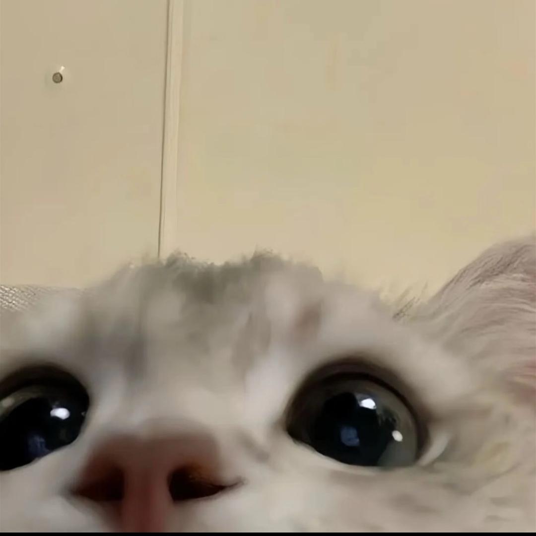 李沐澄的孙子（己有奶奶勿扰）