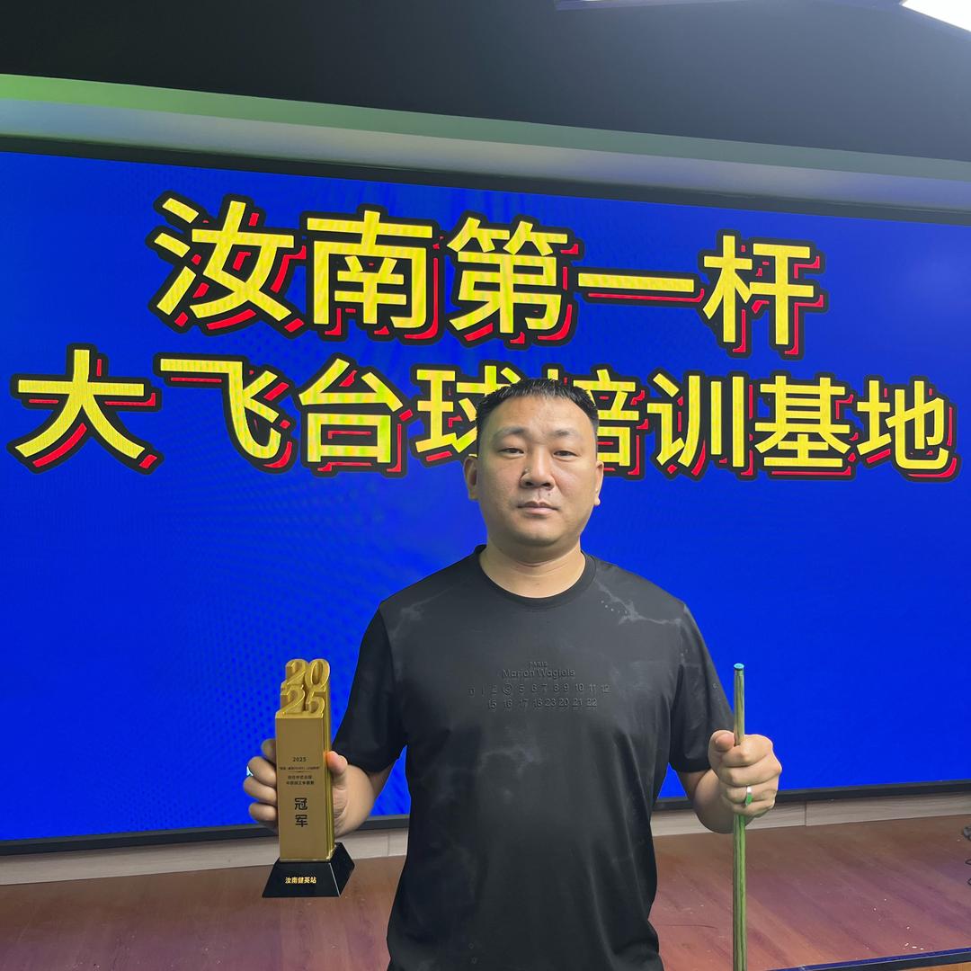 汝南大飞台球