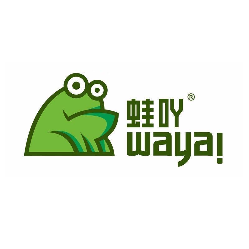 蛙吖智能自助洗车