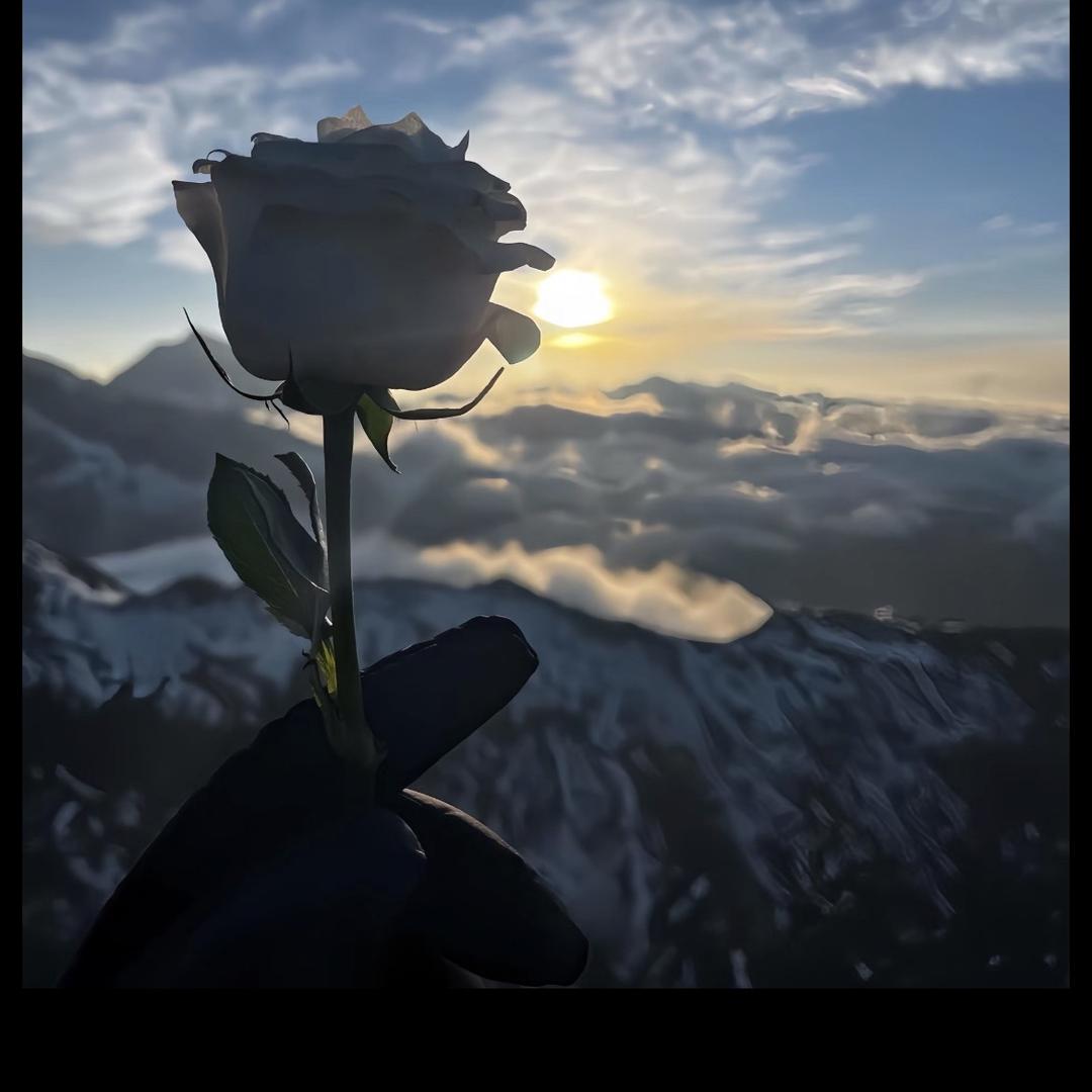 何师傅网店转让