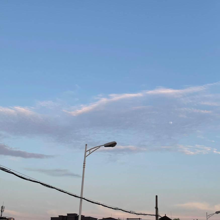城花搬砖侠