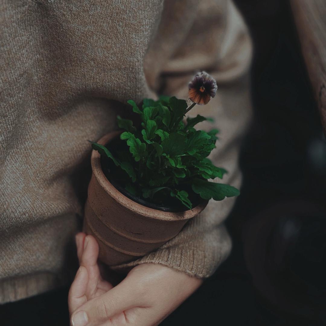 勉强不是姐的性格……💫