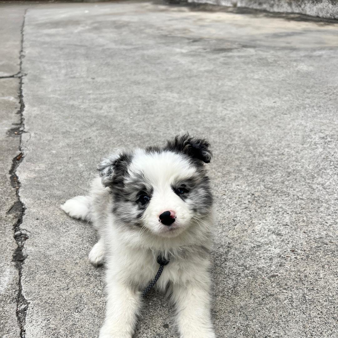 🌈靓女—靓仔🌈