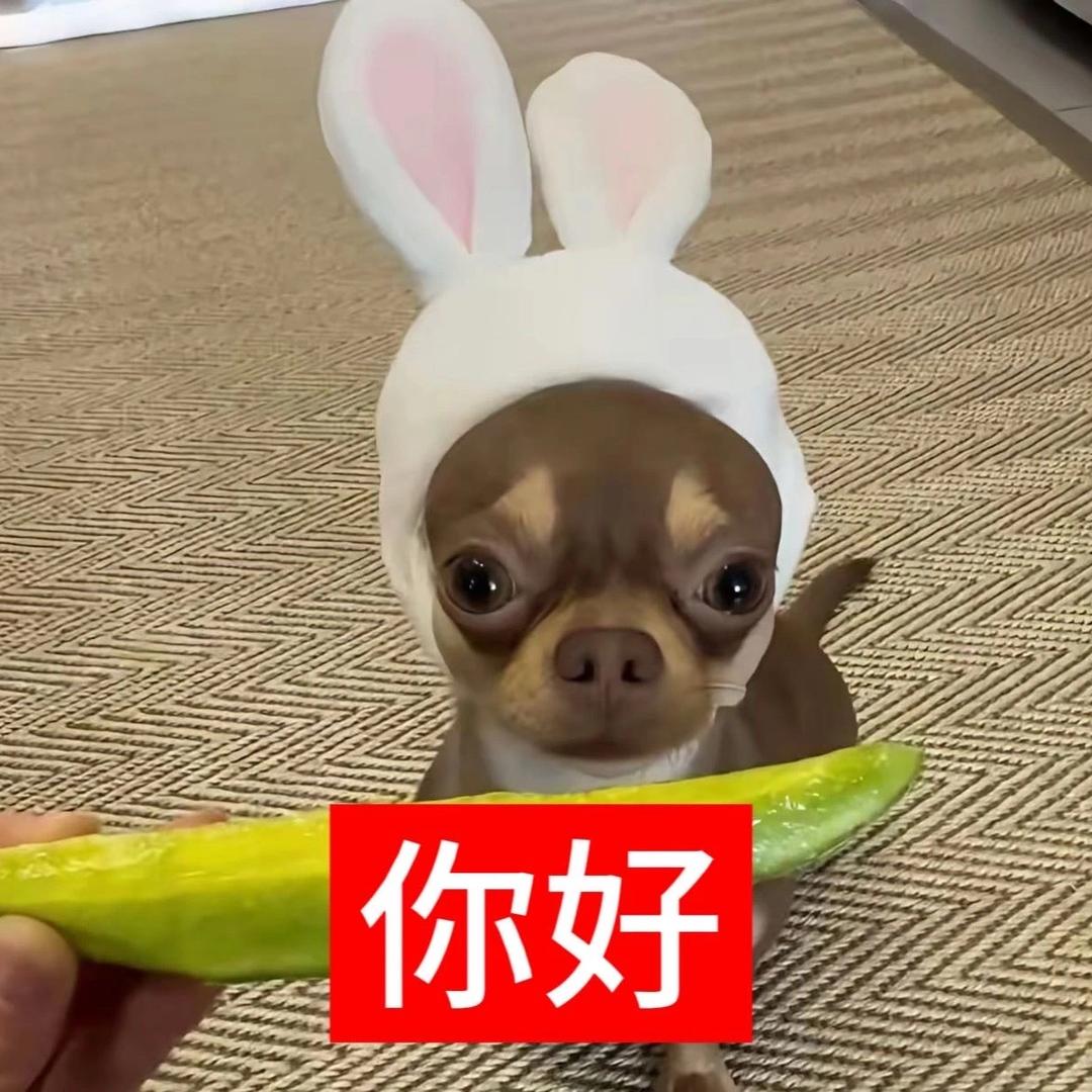 别揍兔（美甲维权版）