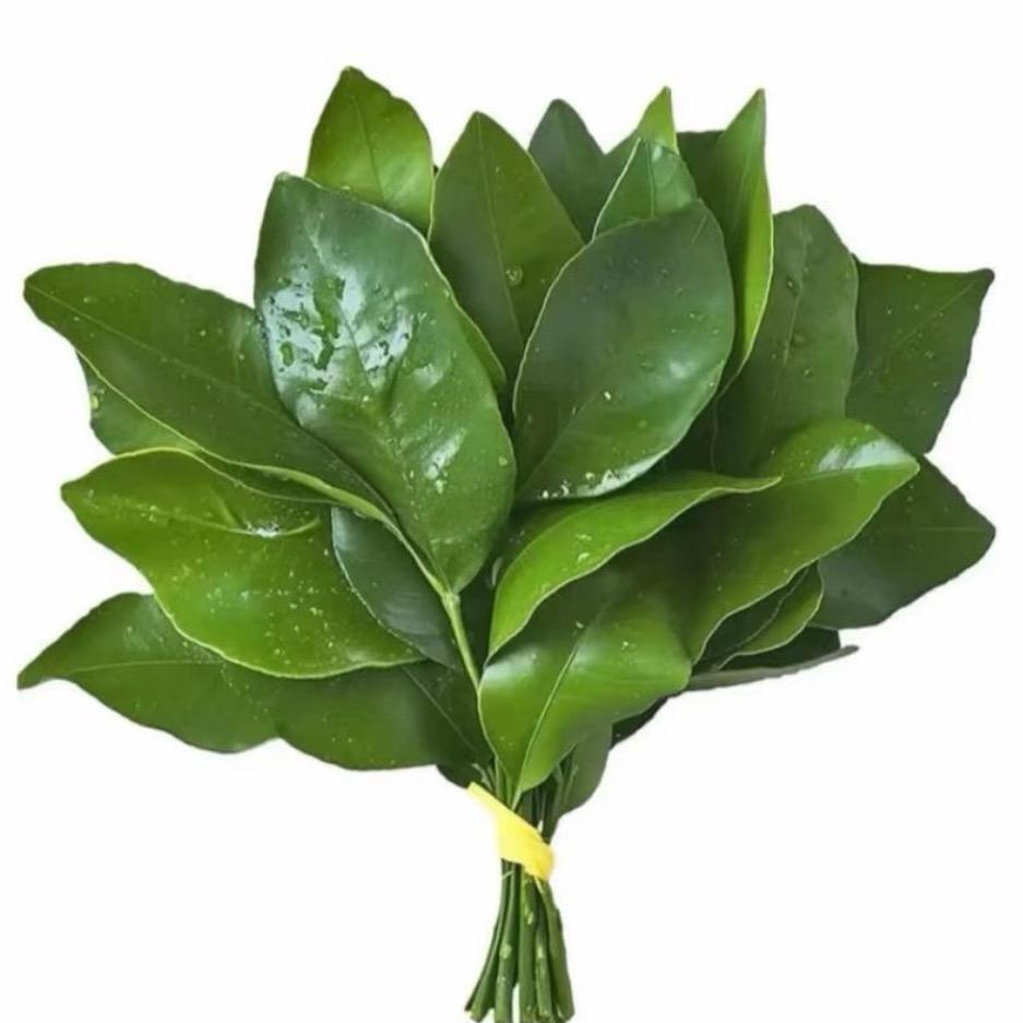 系哟吸