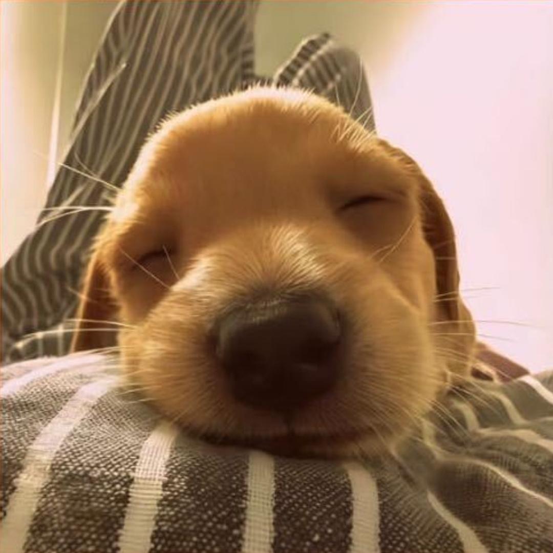 她说小时候穿开裆裤晒黑的