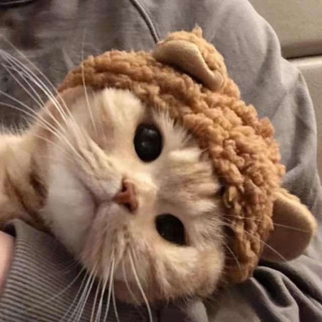 认真而已