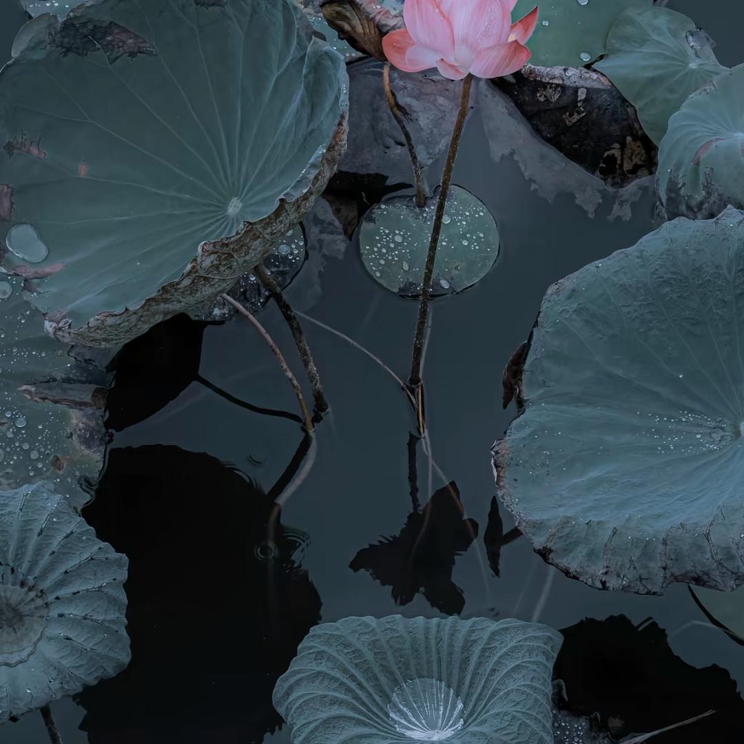 叙春