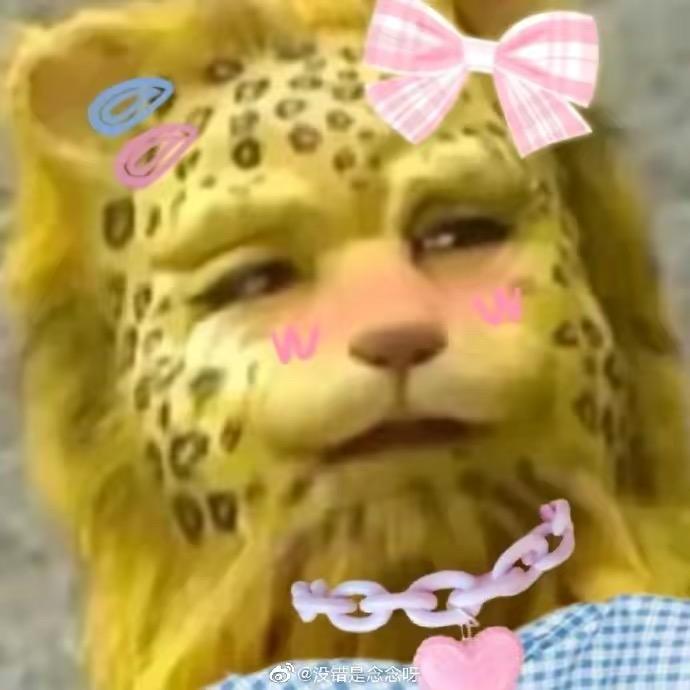 miss陈
