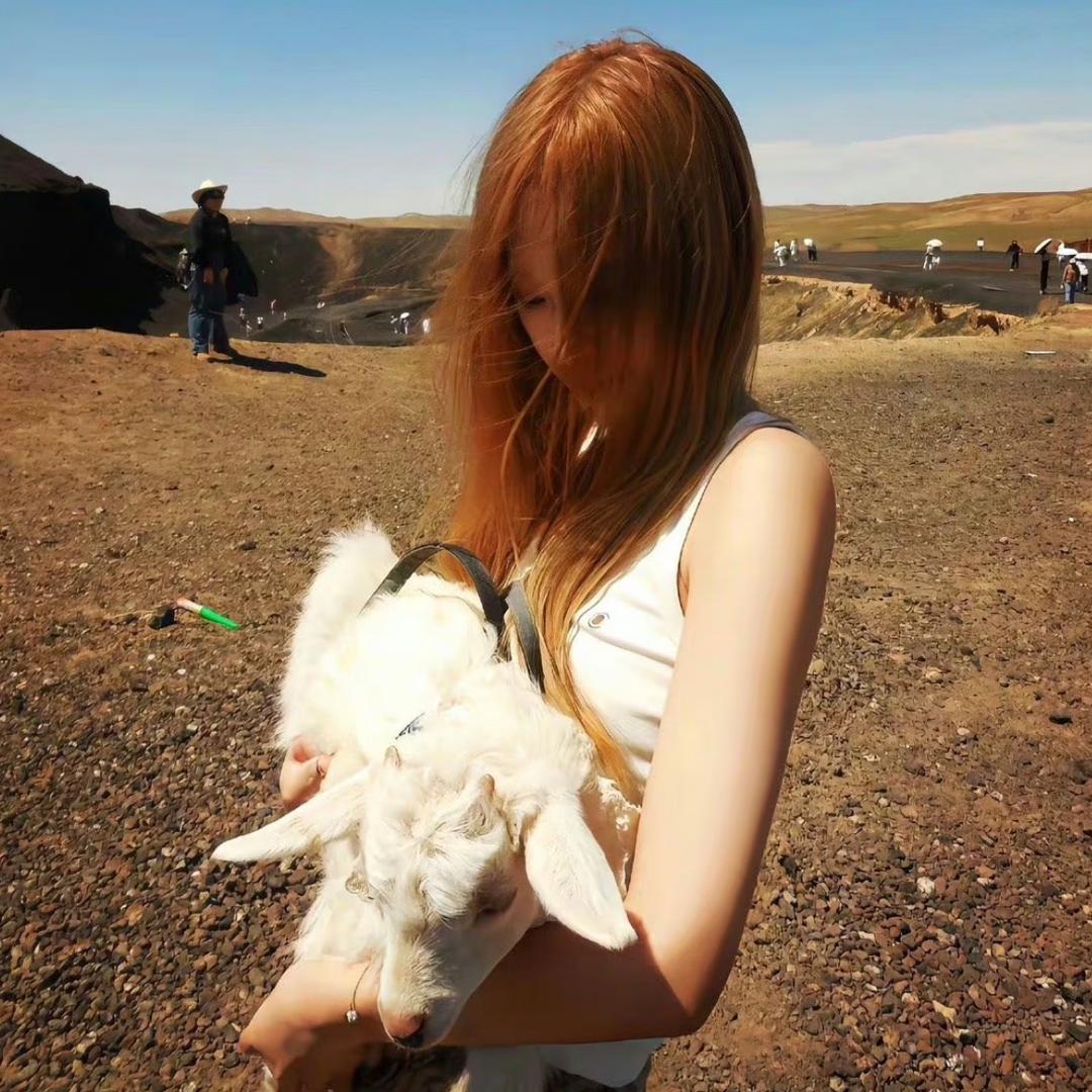 什么烊