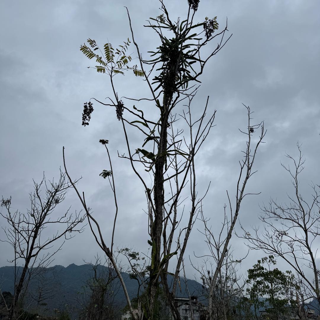 江喝不下啦