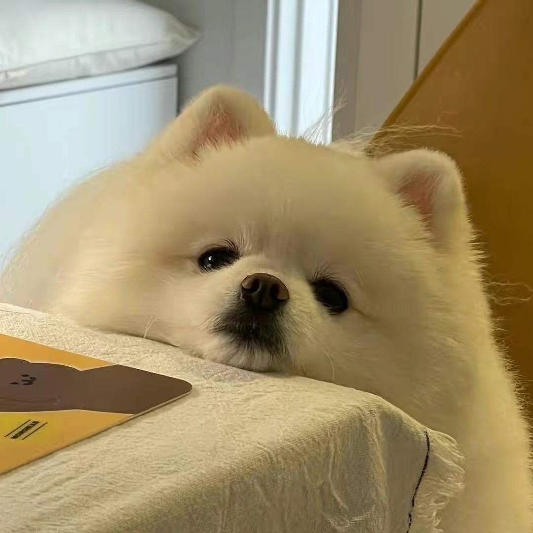 维维xxxF