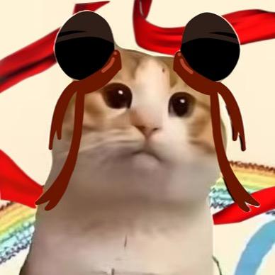 喵了个meme