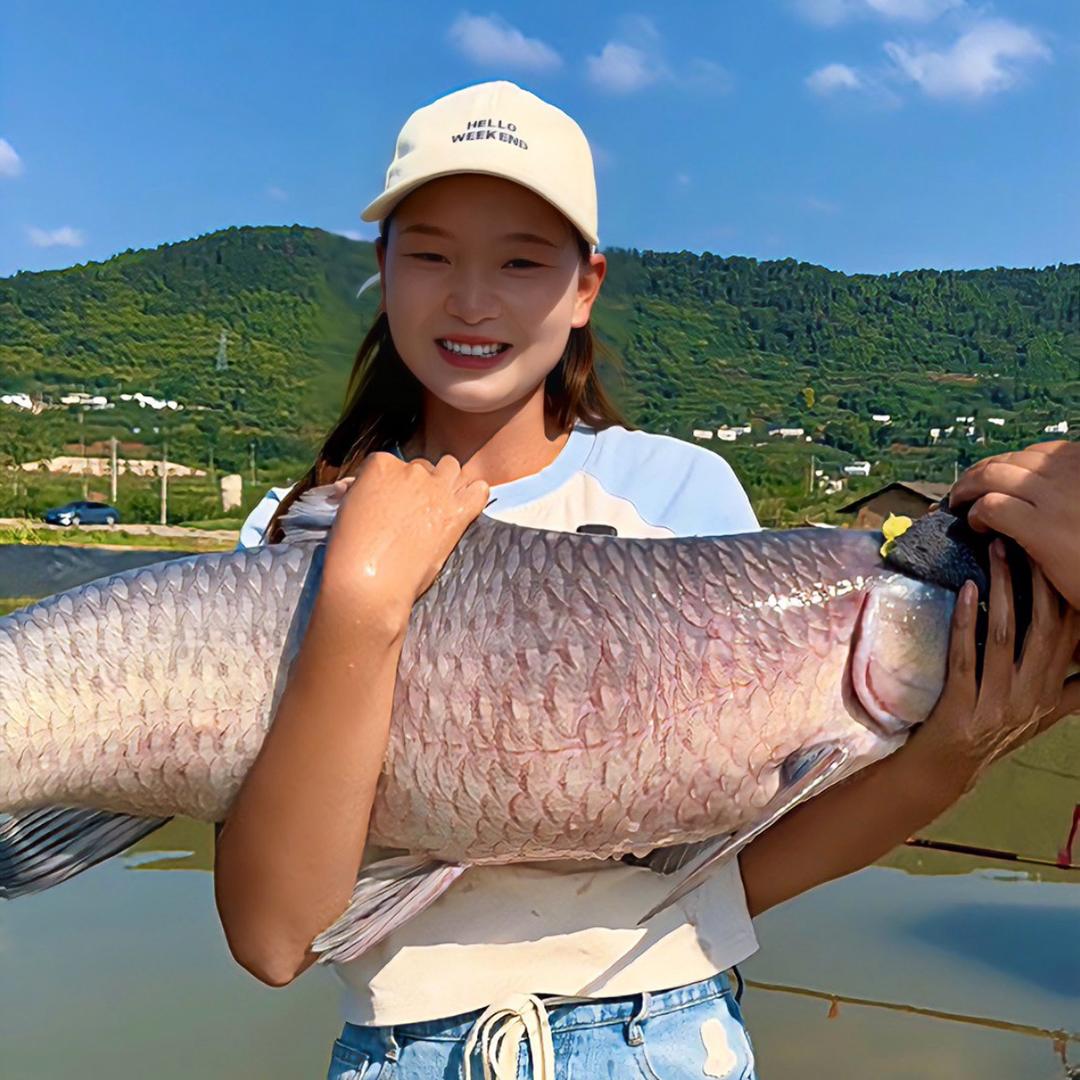 快意江湖·姗姗