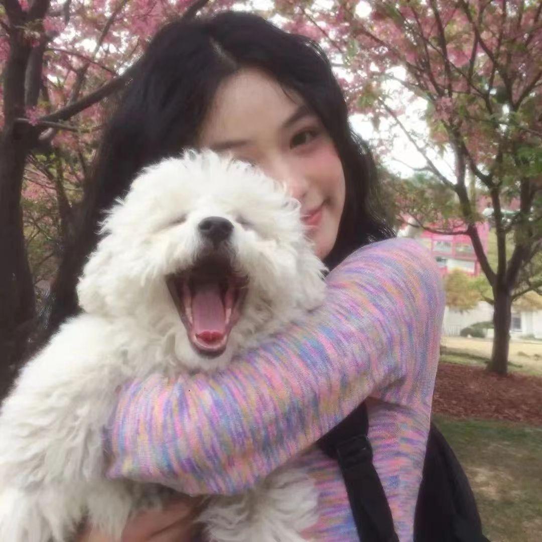 凯蒂猫