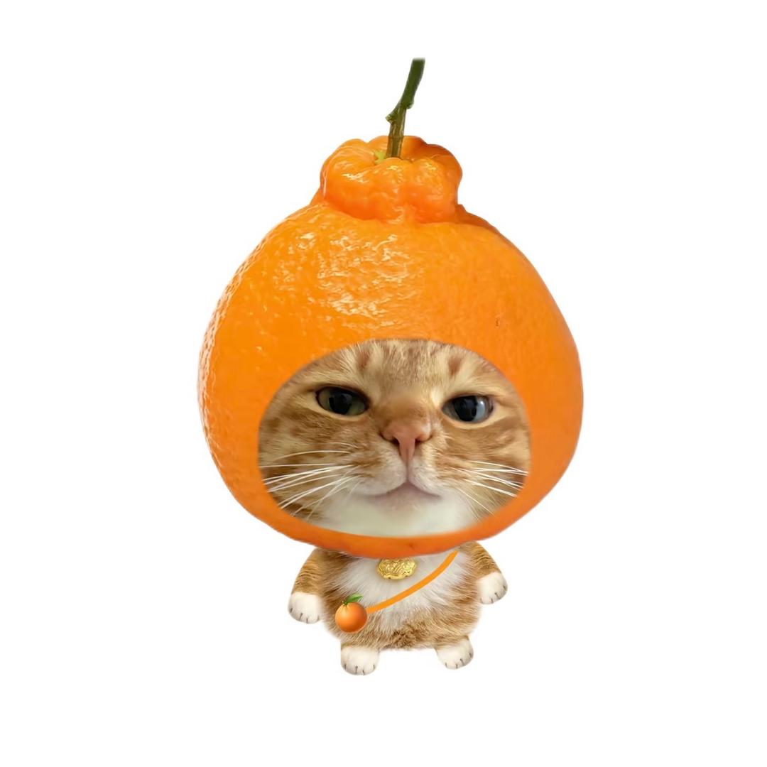 1003