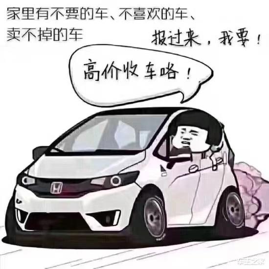 曲阜杨二楞子二手车