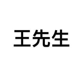 Mr. Wang