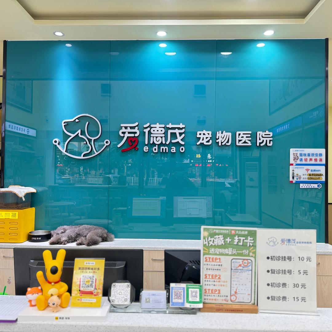 爱德茂宠物医院横沥分院