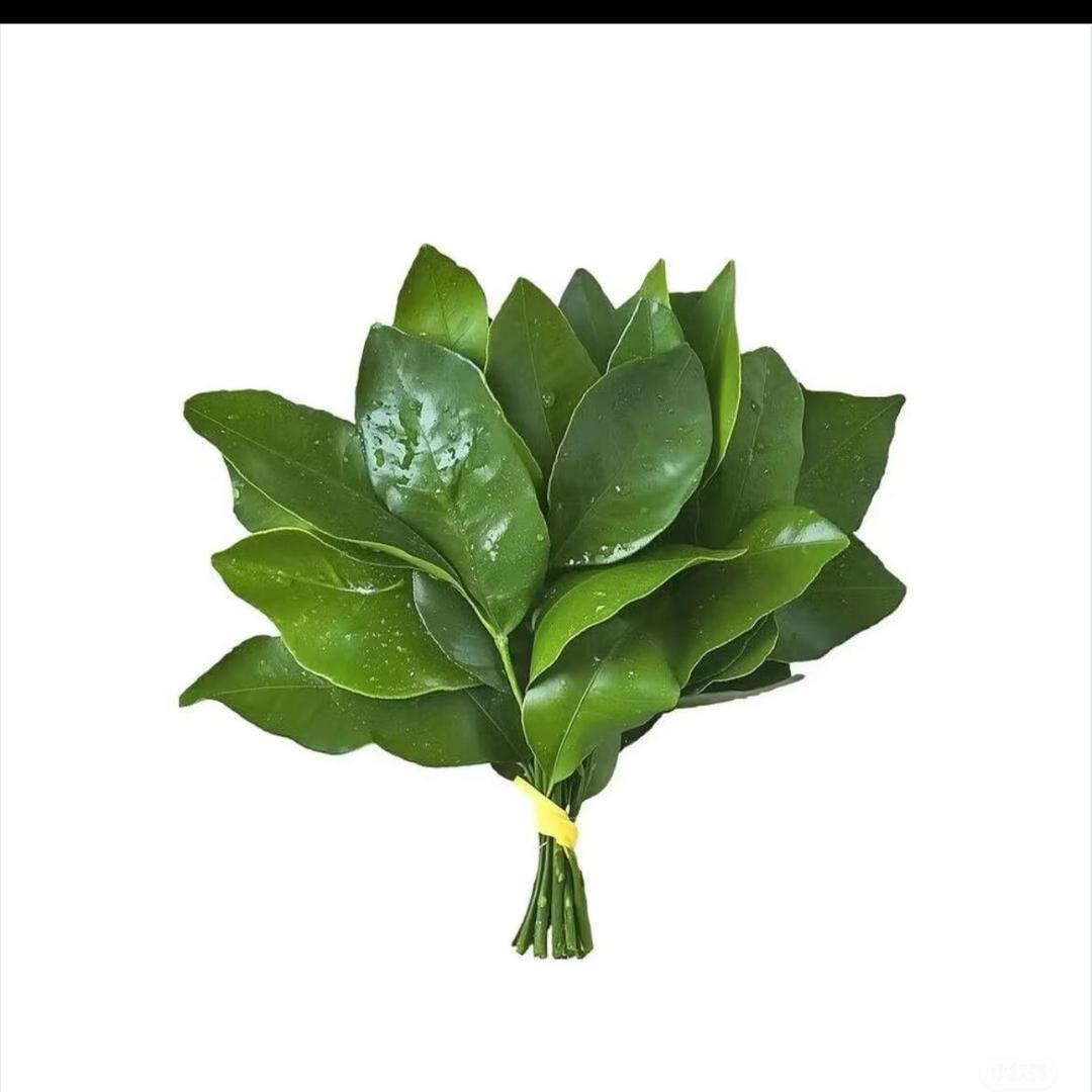 雾
