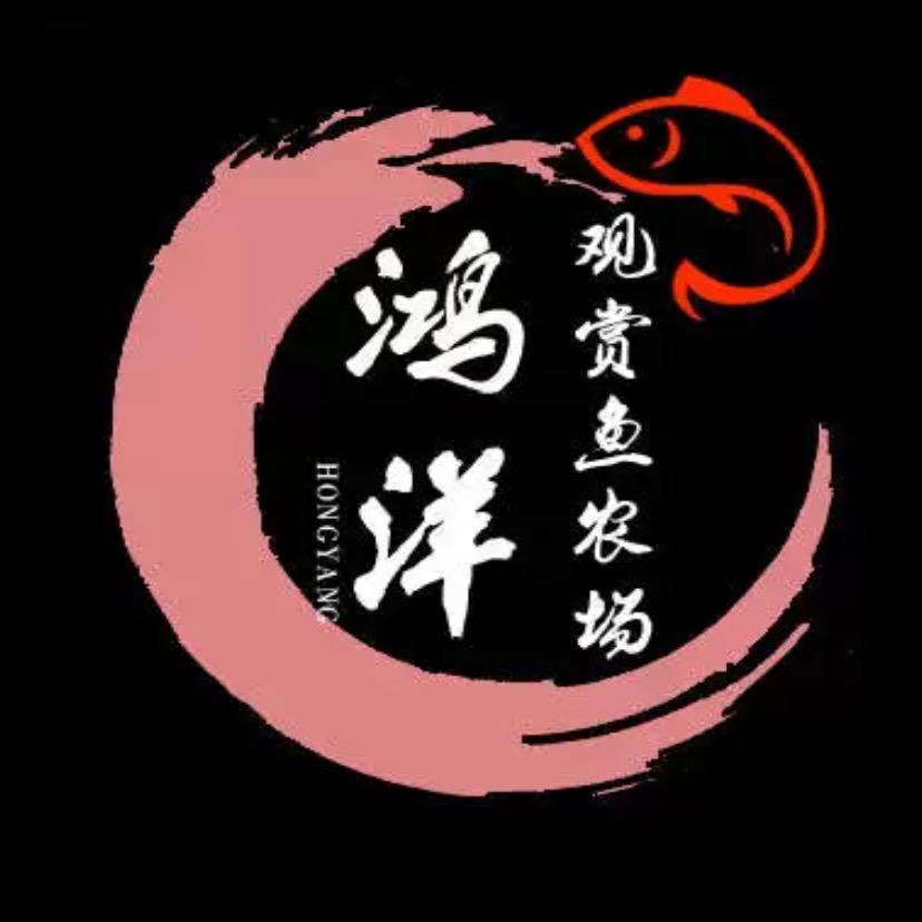鸿洋渔场三湖慈鲷