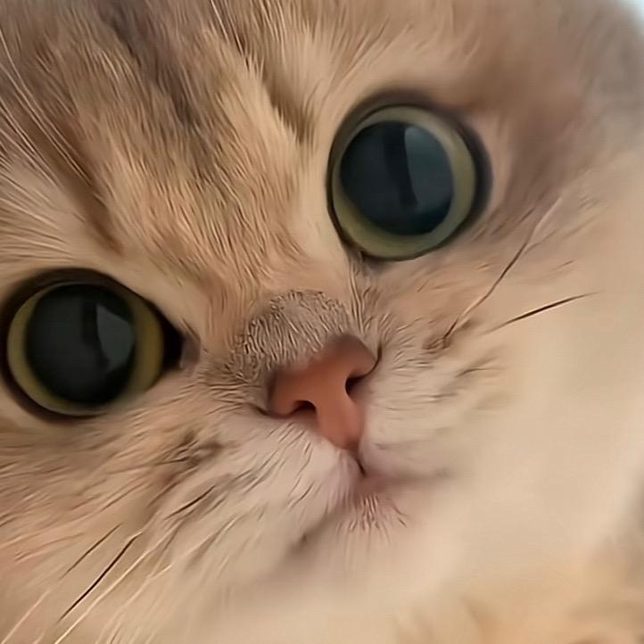 俺没烦恼