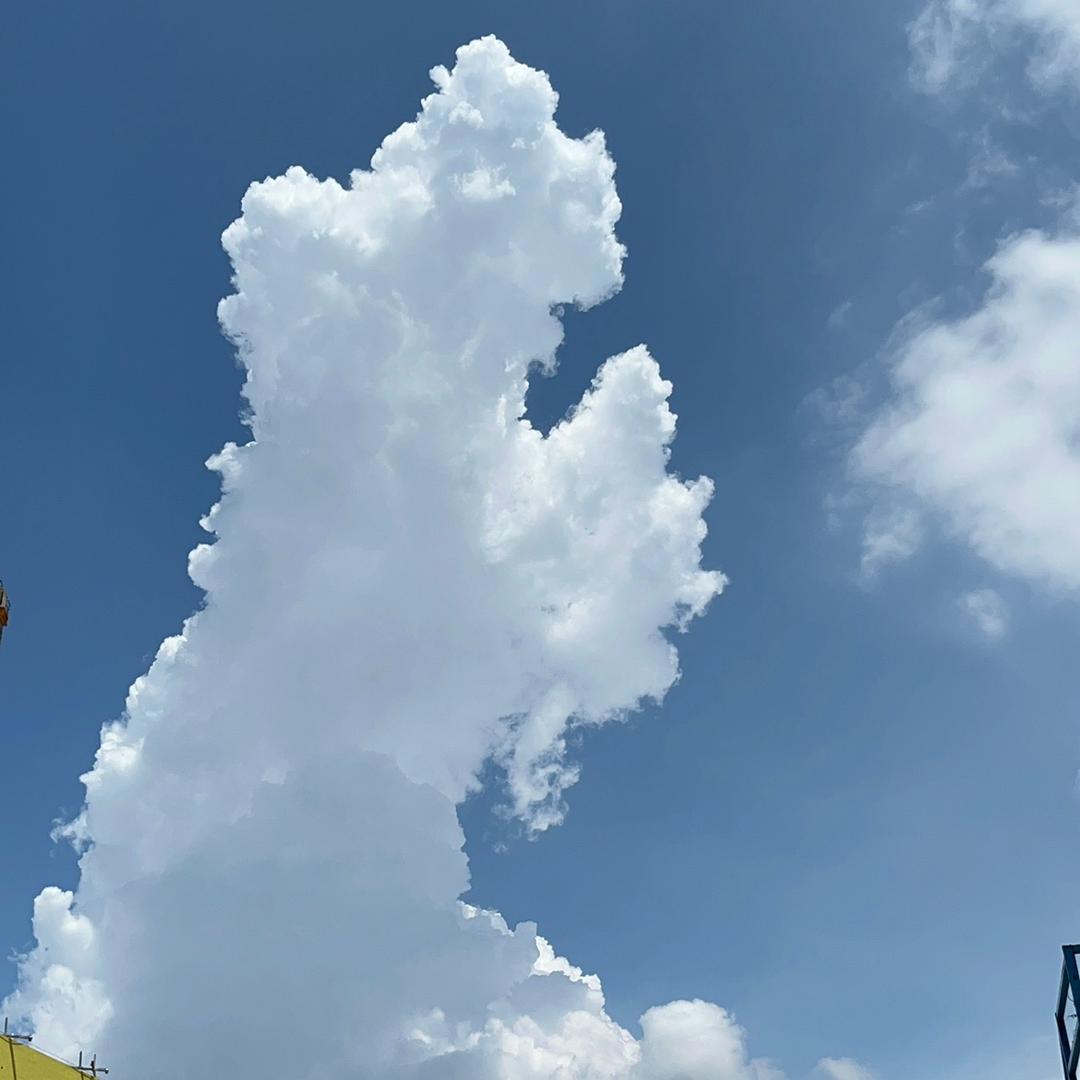 文杰吖