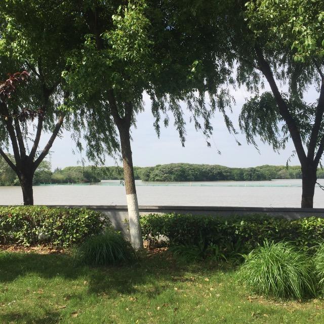 山青水秀太阳高