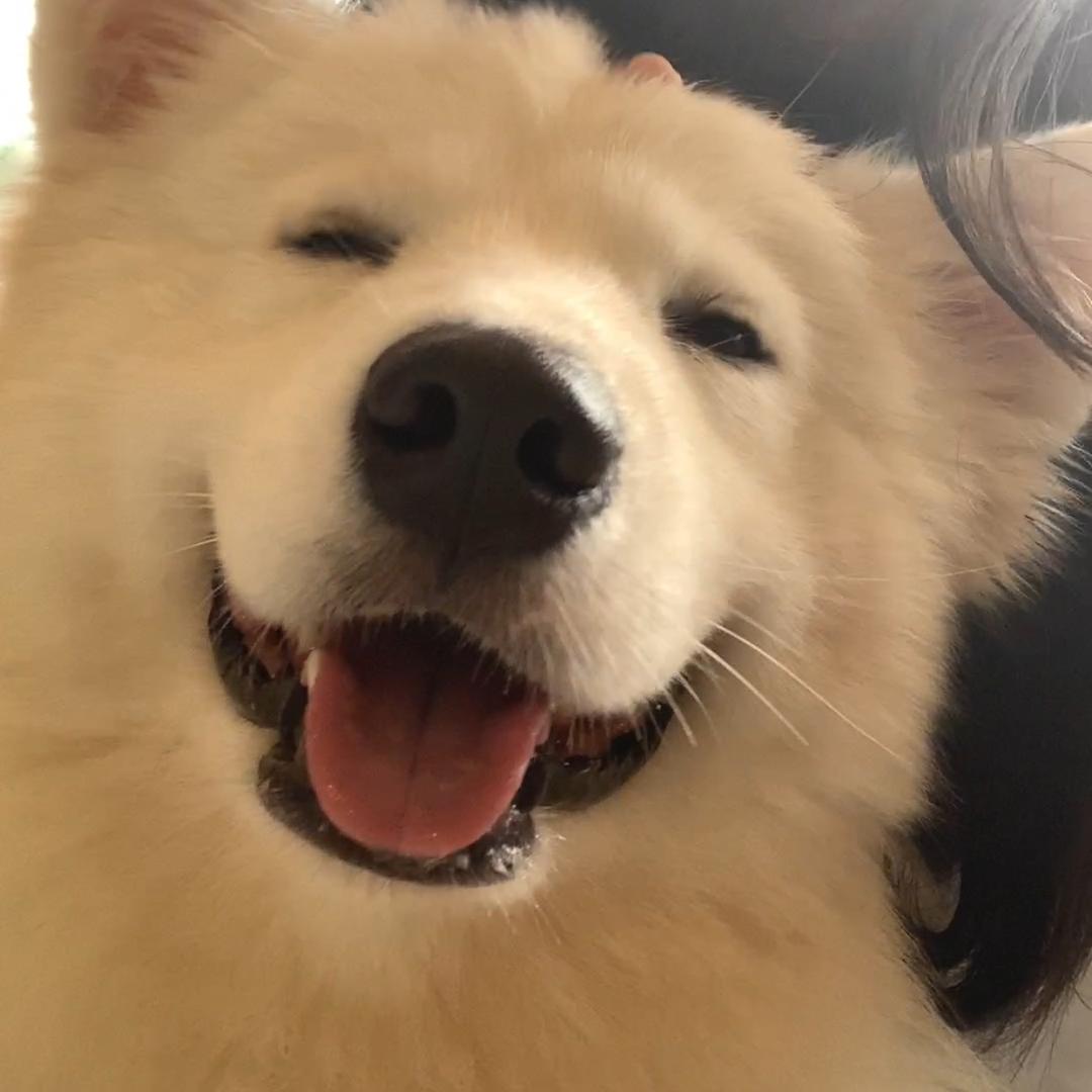 耶耶耶
